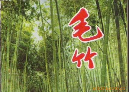 ë񣨳5-9ף