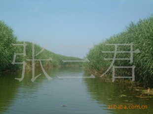 ĸֹë«έ«έ
