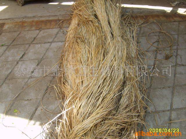 泰安各种藤条(图)