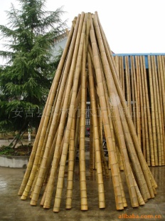 ë(dia9-11x395cm)