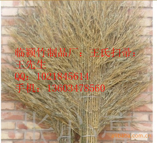 Ϸβɨ㣬ֹգӦԹ㡣
