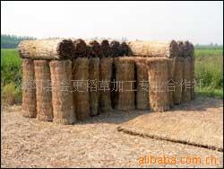 稻草,大棚用草苫,稻草苫,草苫子