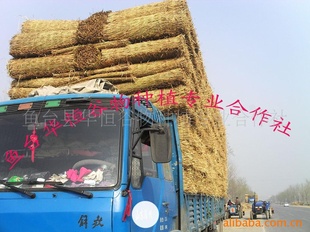 2013꼦Ѽֳ¡ɻ