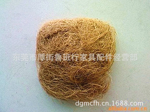 ӡҬ˿Ҭ˿ҬάCoconutFibre
