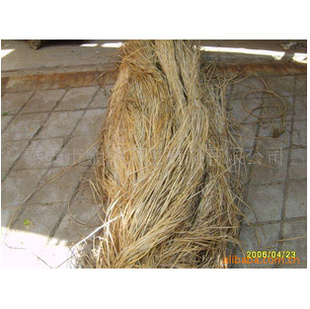 大批量各种规格藤条