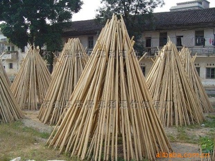 BAMBOO/茶杆竹