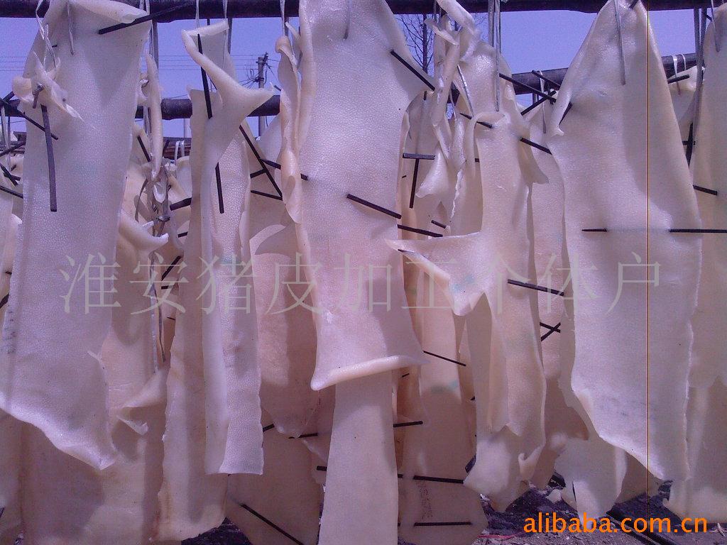 干猪皮,小皮,条皮
