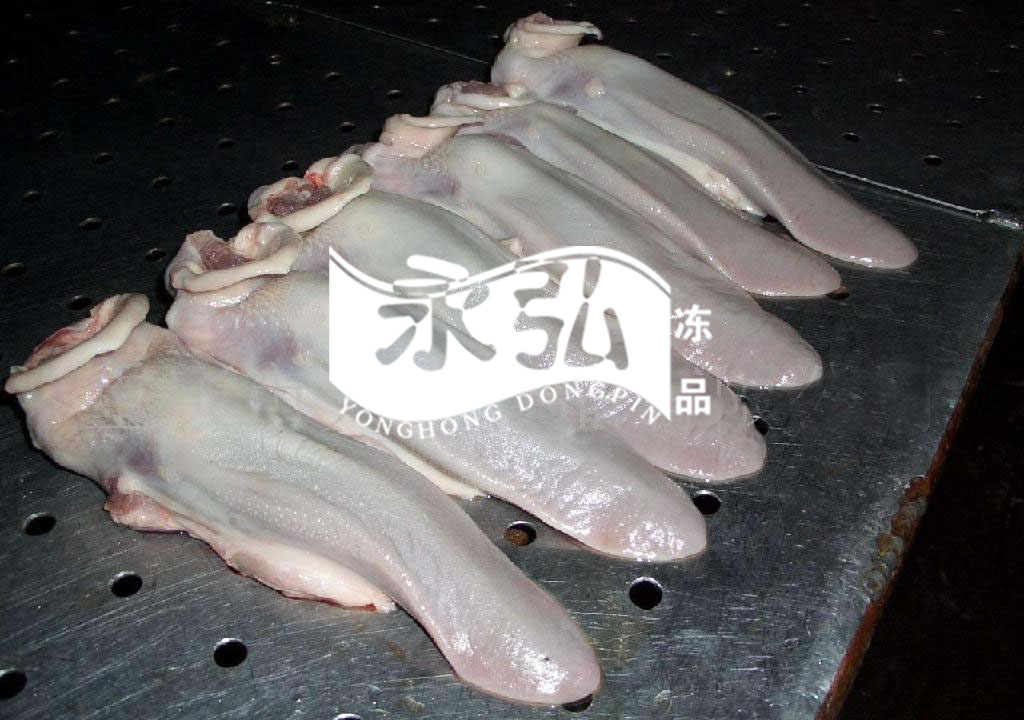 䶳䶳ͷ