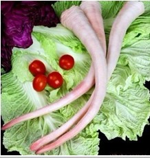 䶳ʳƷβ