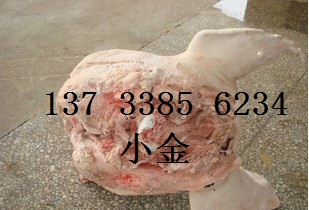 ͷ۸