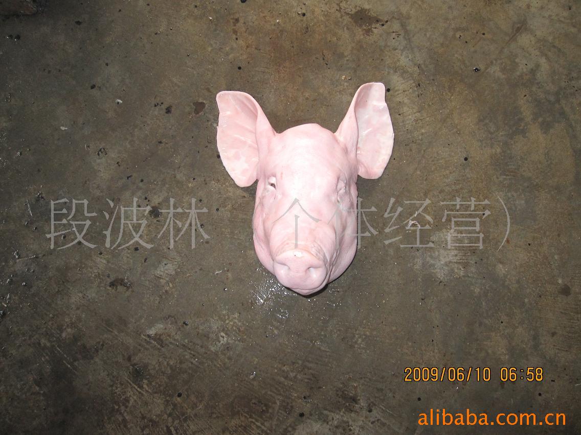 䶳ͷ