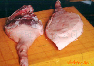 ֱ䶳ӻӭ