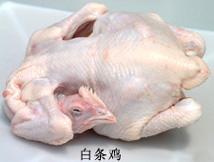ϵУ㡢䡢ࡢͷƤ