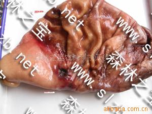 Ұ