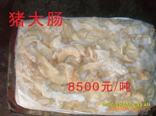 正和批发分割猪肉,冷冻猪大肠