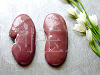ʳֱ