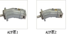 A2F10R1P2