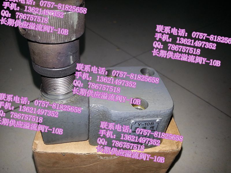 Y-10B