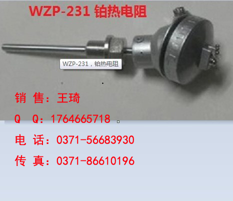 ֱȵ裬֣ǱWZP-231ֱ