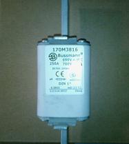 ԭװBUSSMANN۶ͺţ170M3816