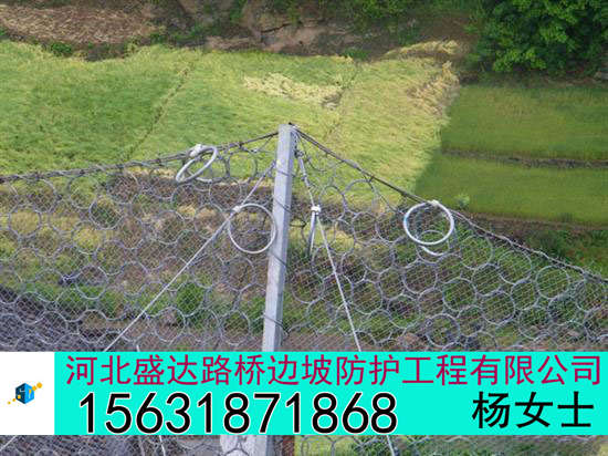Rxi-050Rxi-050