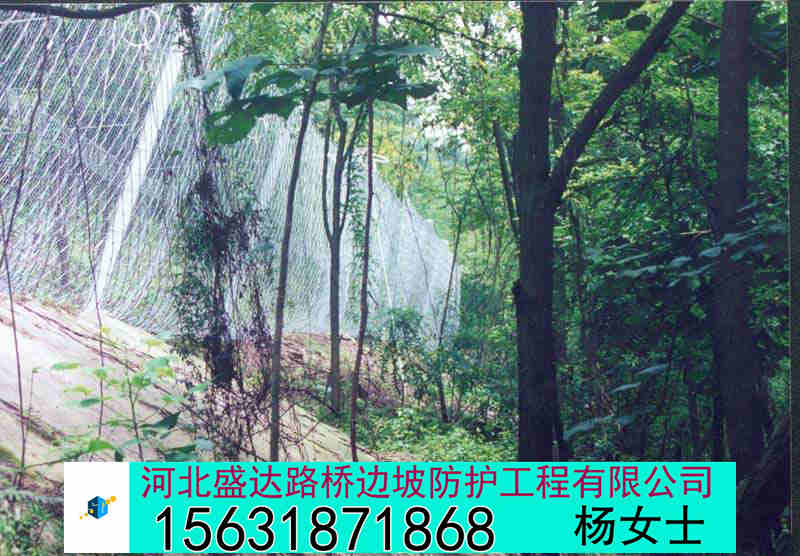 񱻶