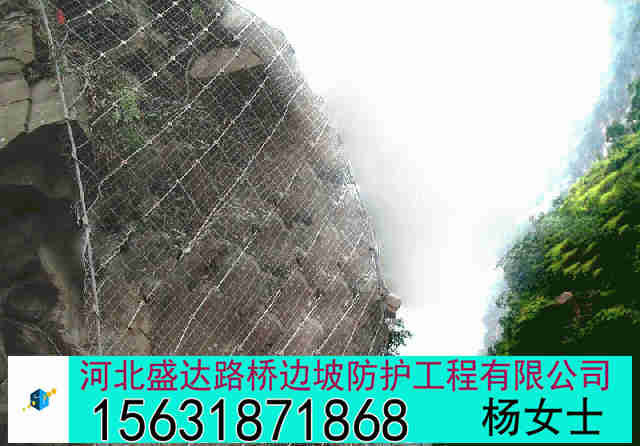 GAR2主动防护网GAR2主动防护网报价护坡网