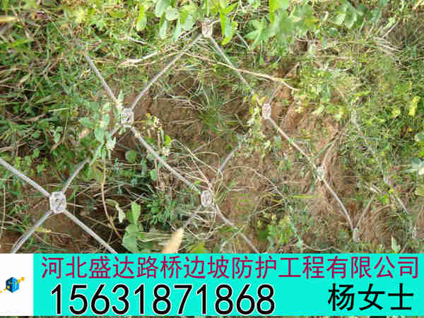 GTC-6ֻ