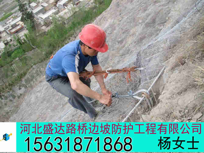 GER1主动防护网GER1主动防护网GER1主动防护网价格