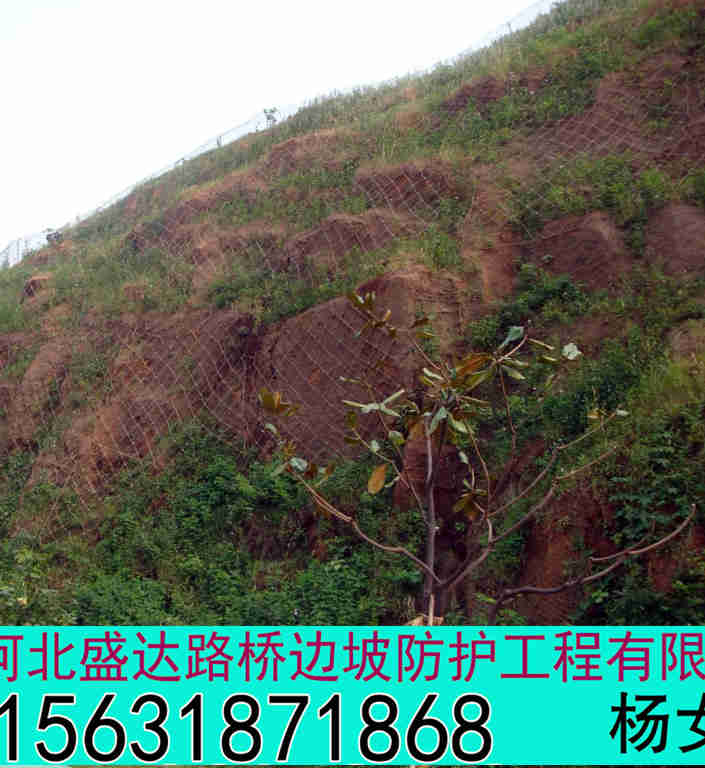 GER1主动防护网GER1主动防护网现货护坡网