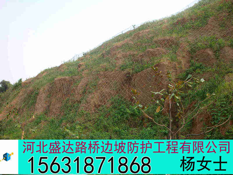 GPS2GPS2ͺ