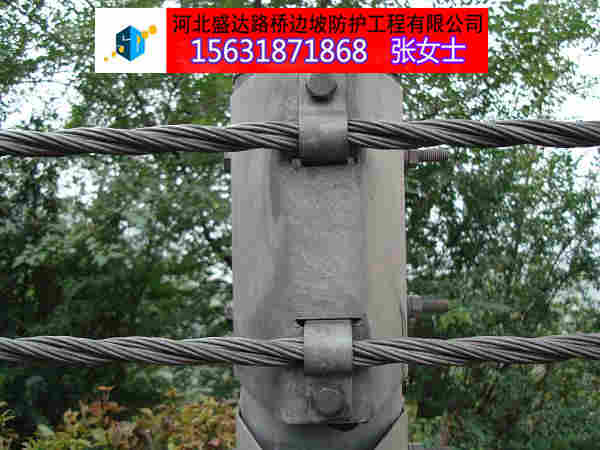 ʢ