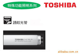 ձ֥TOSHIBA