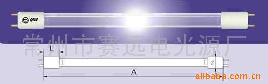 ֱ˫ʯӢ߾(ͼ)