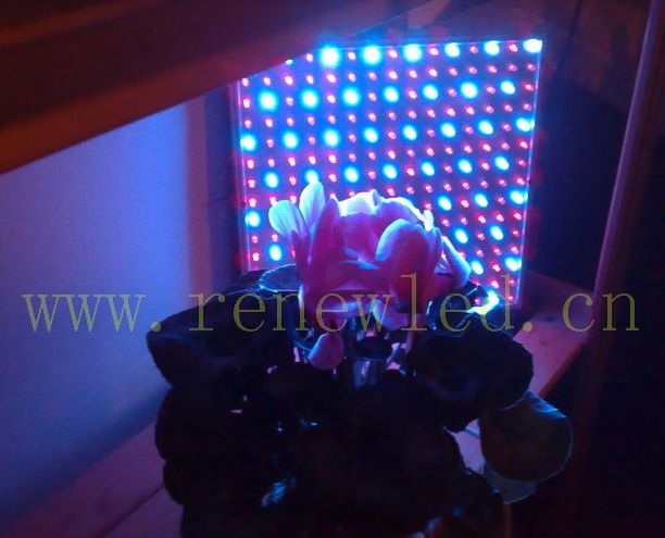 ֲLED