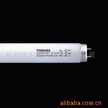 ֥(TOSHIBA)ƹ