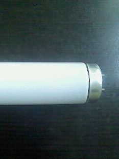 ֱвߵƹ