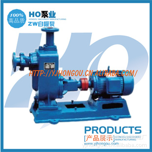 100ZW80-20-ˮ
