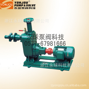 100ZW-80-20|100ZW-80-20