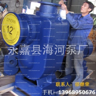 省时省能耗300ZW800--14自吸排污泵图