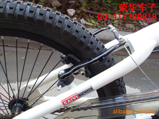 20BMXʽݳ̥[20*2.20]