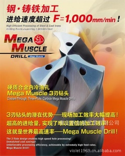 OSGӲϽMegaMuscleͷ