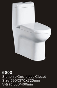 ţʽͰͺ6003