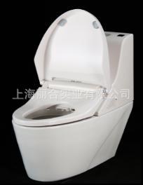 科勒KARAT卡丽卫浴丽洁一体化全自动智能马桶盖/座便器12254T-WK