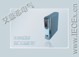 防电暖气(BDN58)