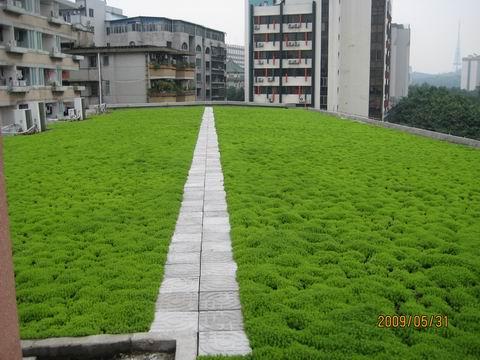 植草格人造草坪排水板价优