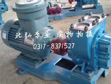 YHCB型圆弧齿轮油泵,圆弧齿轮油泵