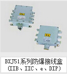 防配件BXJ51系列防接线盒(IIB、IIC、e、DIP)