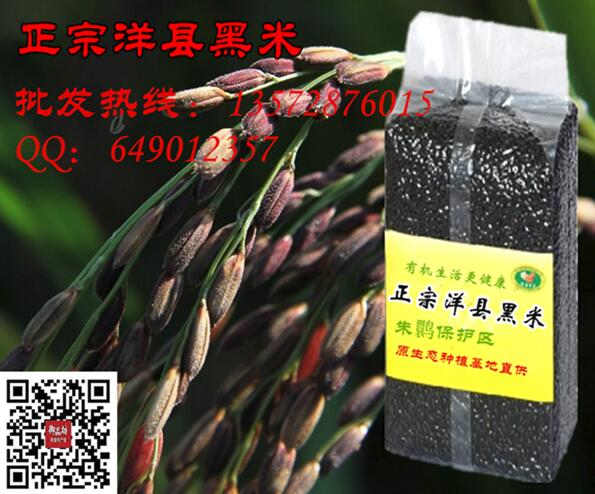 陕西洋县有机黑米批发养生功效食疗作用黑米