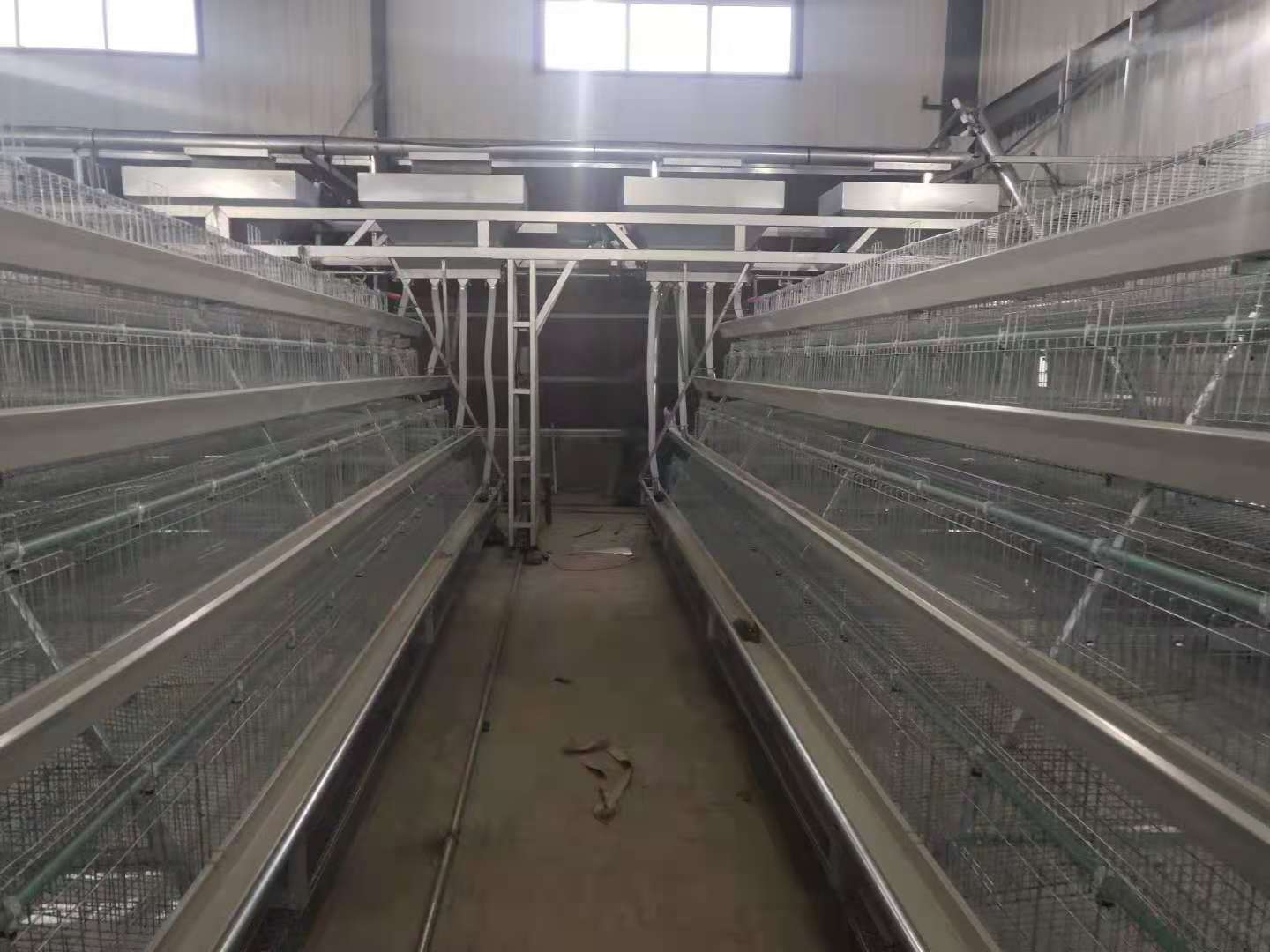 厂家供应 蛋鸡肉鸡用全自动龙门架喂料机 可